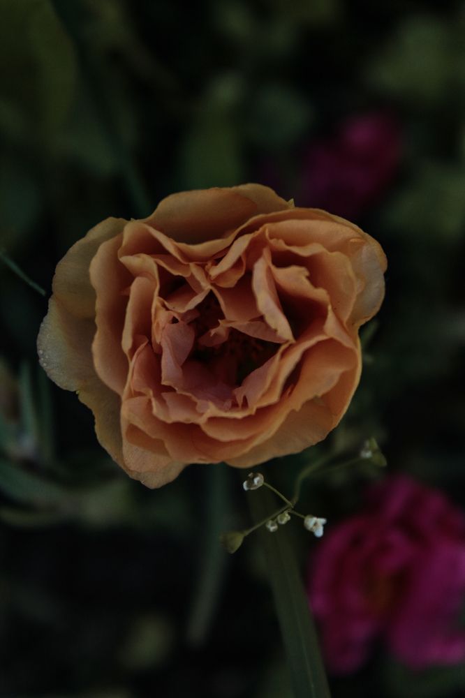 Photograph by Анастасия Псарёва