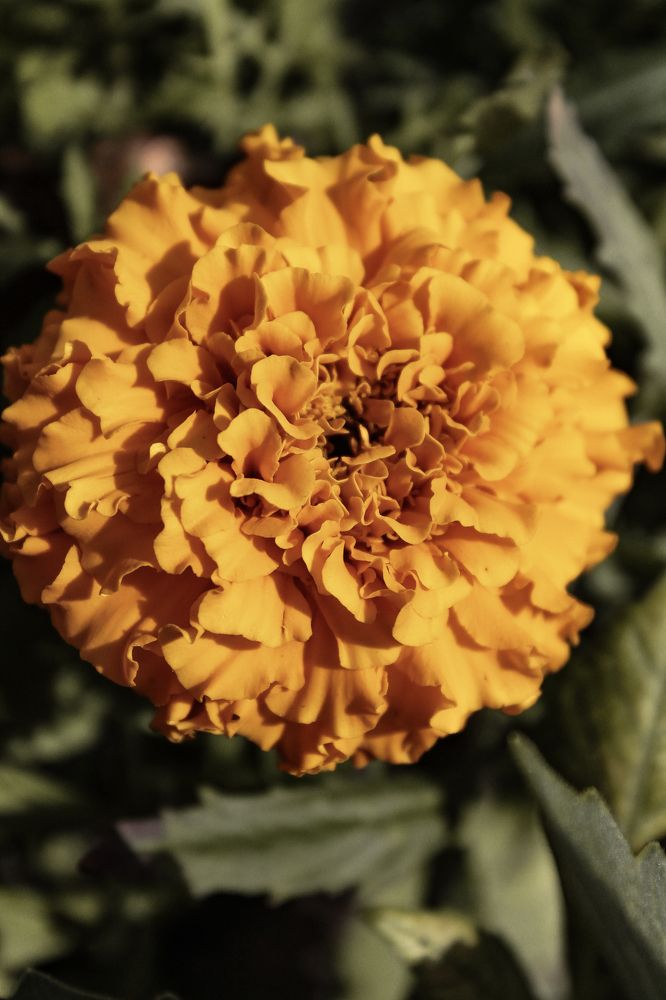 Photograph by Анастасия Псарёва