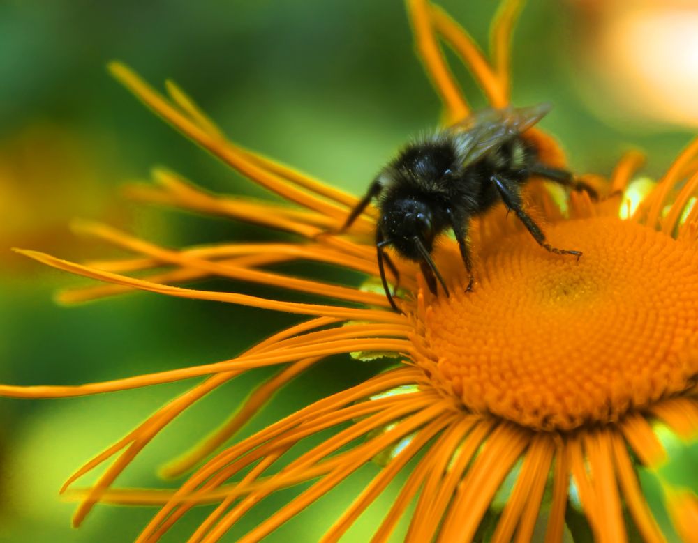 Photograph by Ольга Заповедная