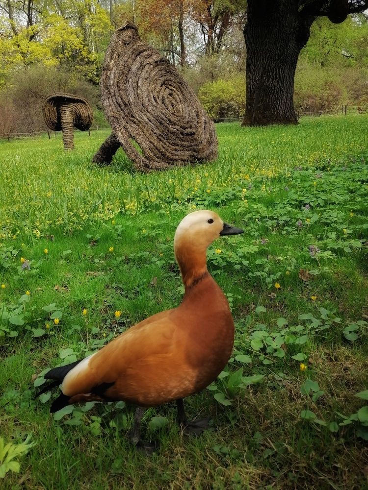Photograph by Анжелика