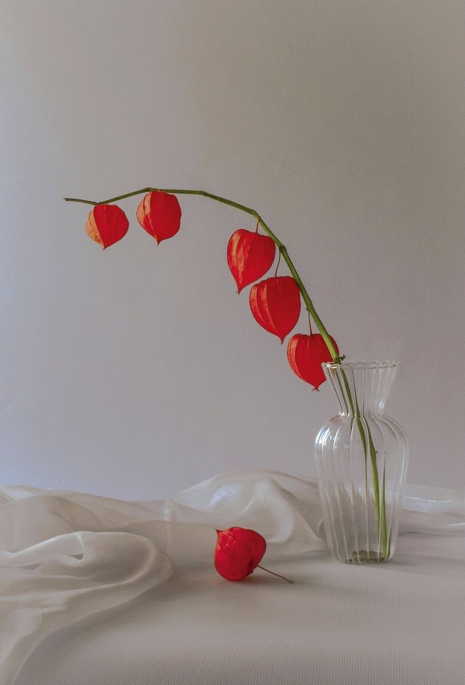 Photograph by Кира Иванова