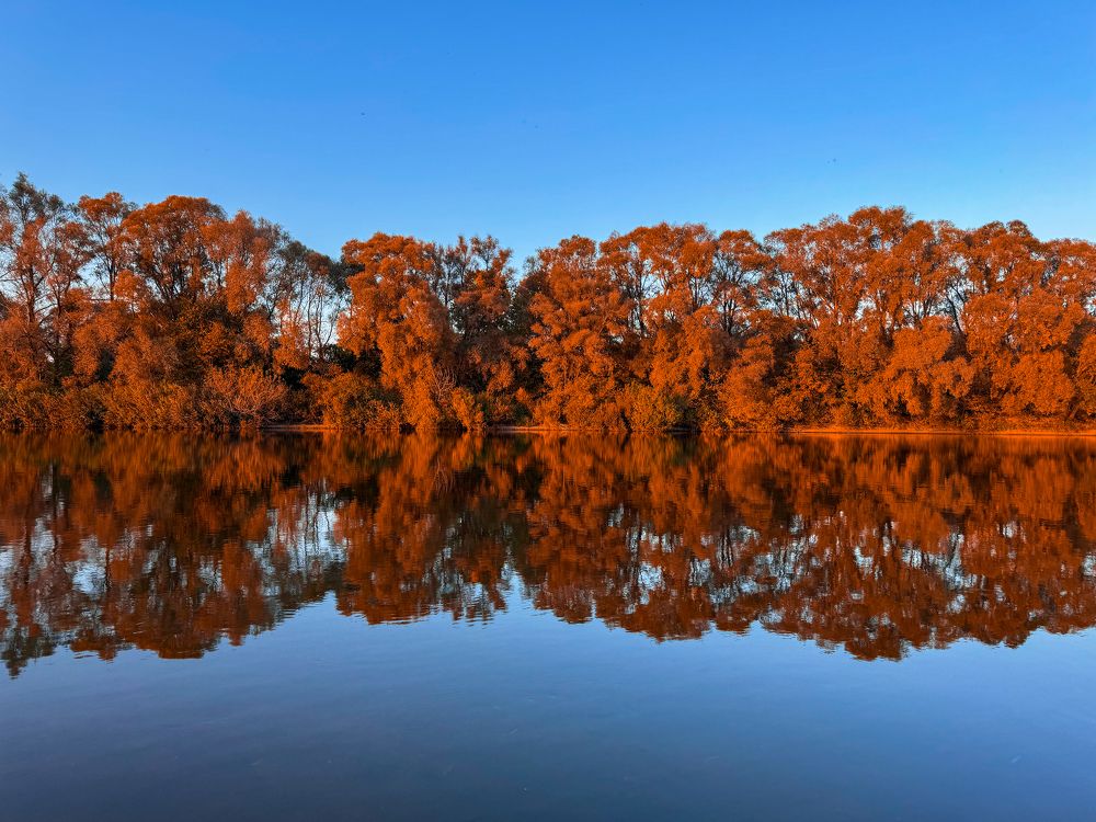 Photograph by Мария Бочкова