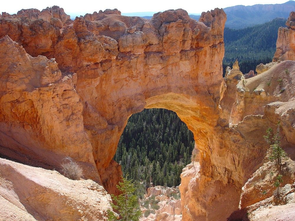 Photograph by Ирина Орлова