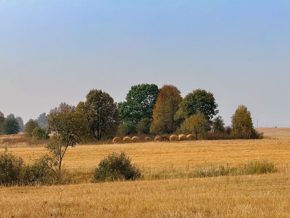 Photograph by Мария Бочкова