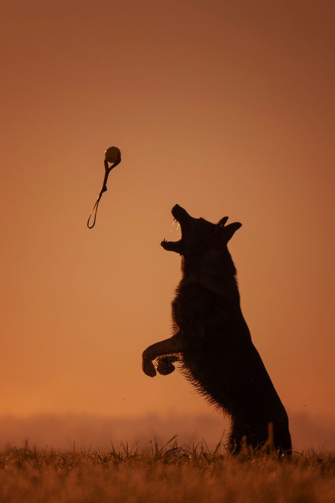 Photograph by Елена Якусева