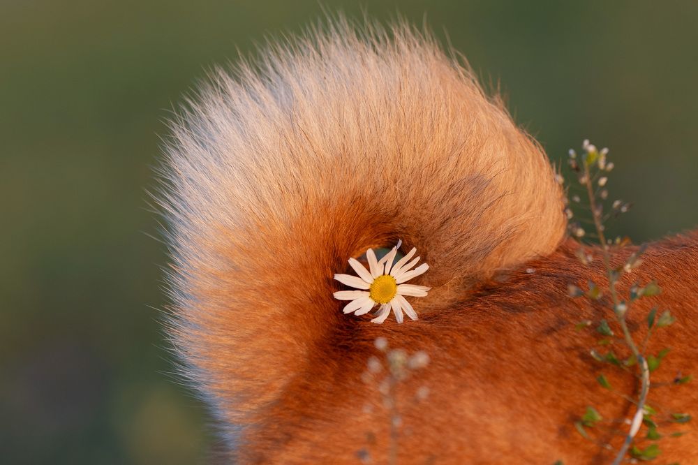 Photograph by Елена Якусева