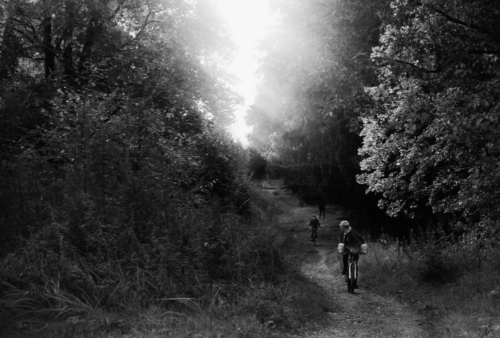 Photograph by Дарья