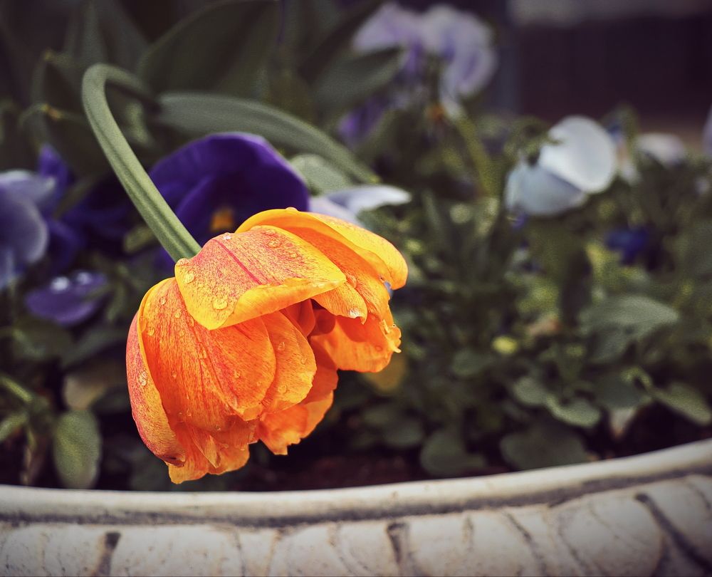 Photograph by Алексей Зимин