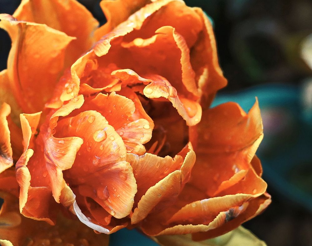 Photograph by Алексей Зимин