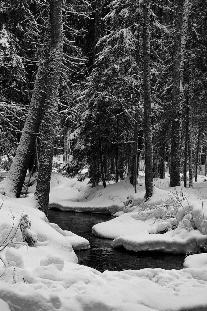 Photograph by Дарья