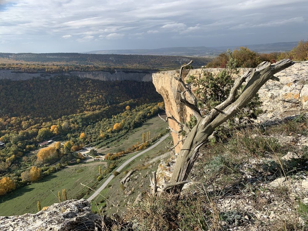 Photograph by Игорь Ребров