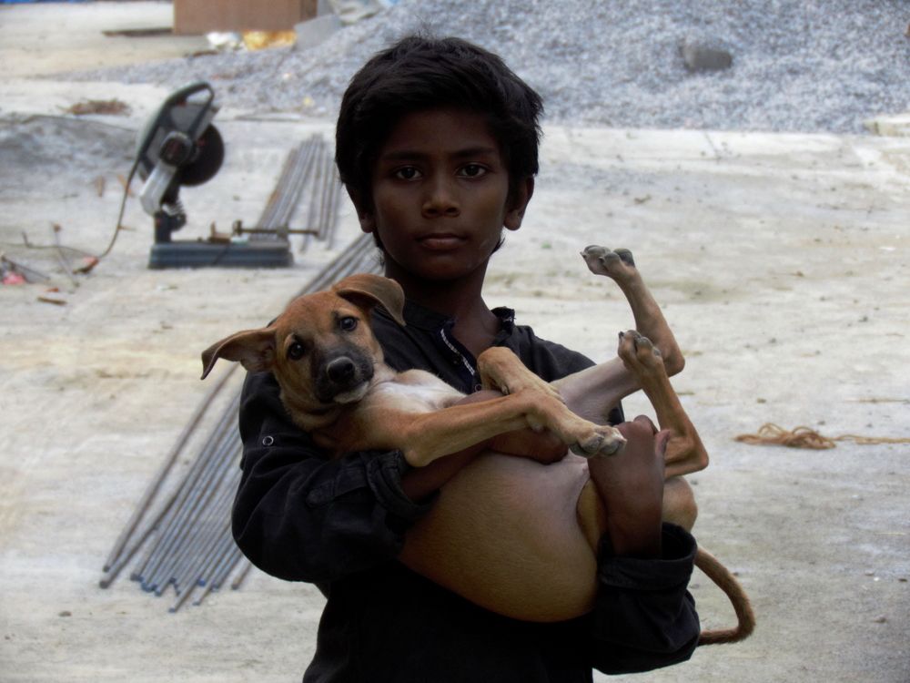 Boy carrying stray puppy near some construction site