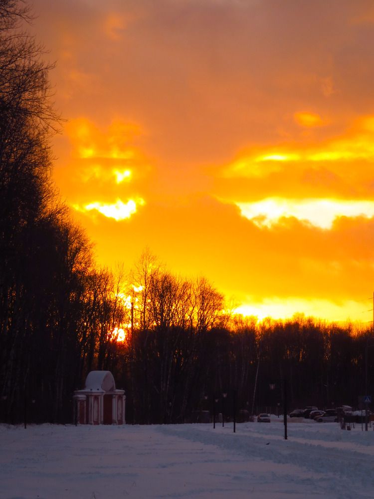 Photograph by Владимир Крылов