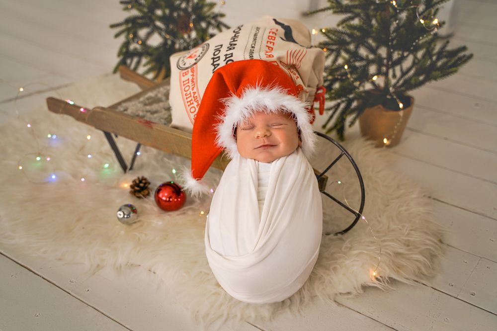 Фотография автора Анастасия Шипилова