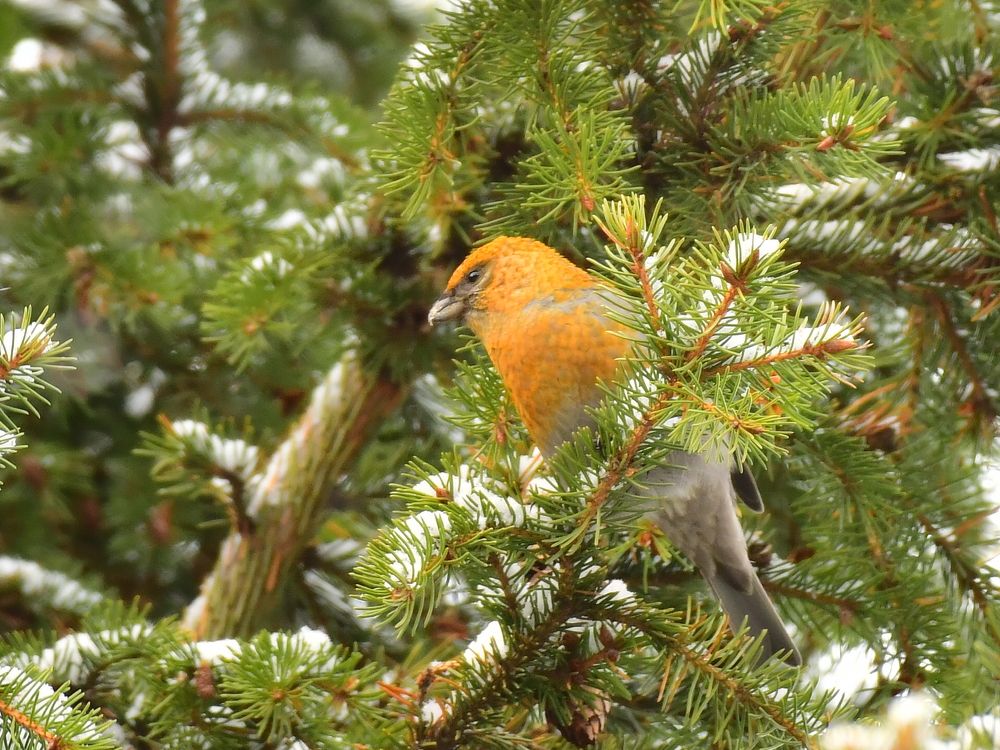 Photograph by Николай Абакумов