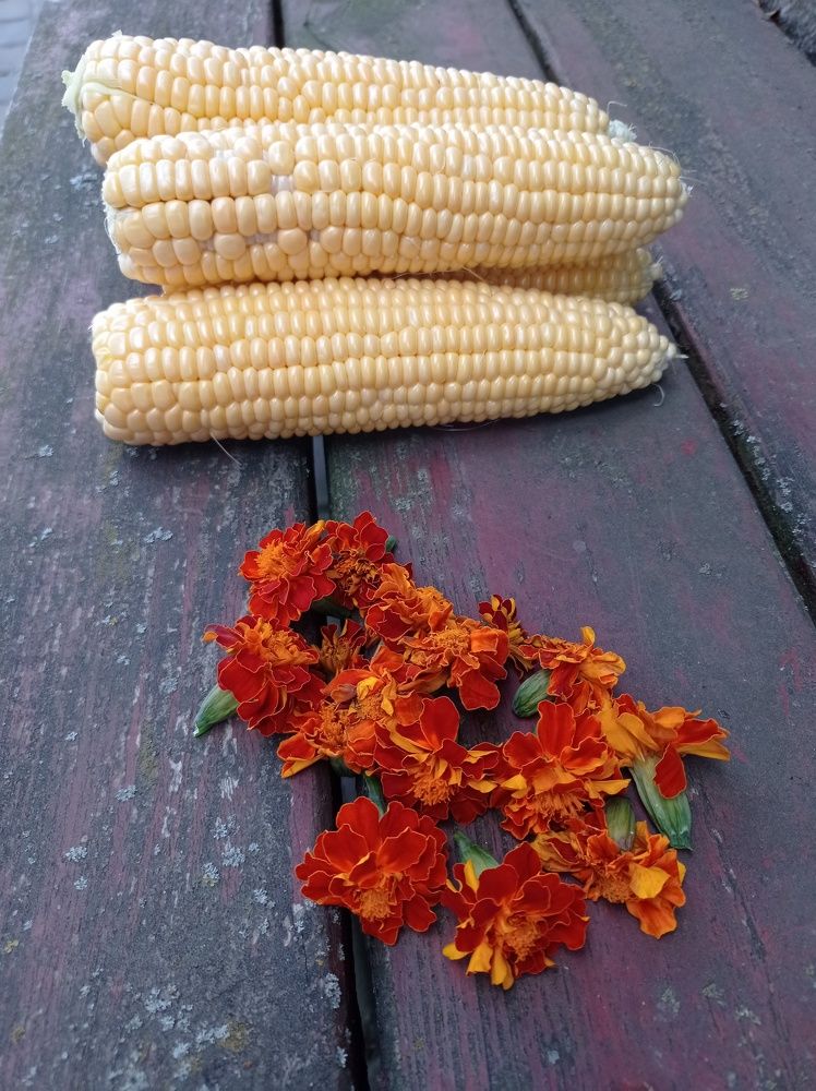 Photograph by Ирина Марченко