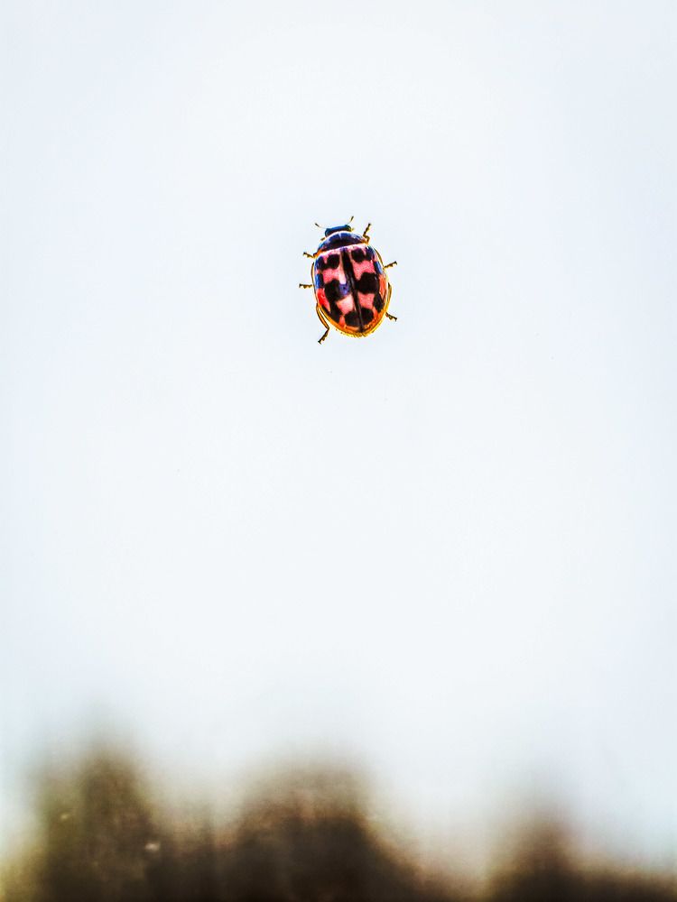 Photograph by Владимир Крылов