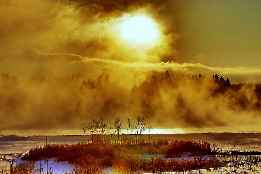 Photograph by 