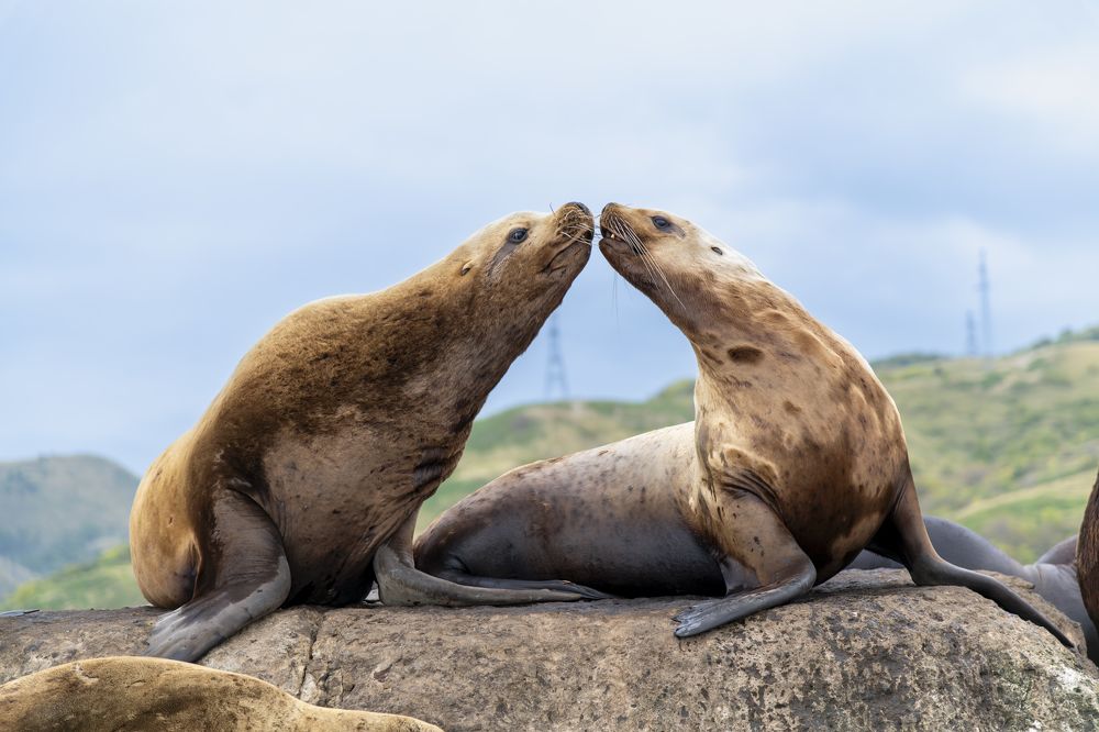 Photograph by Дмитрий Крошка