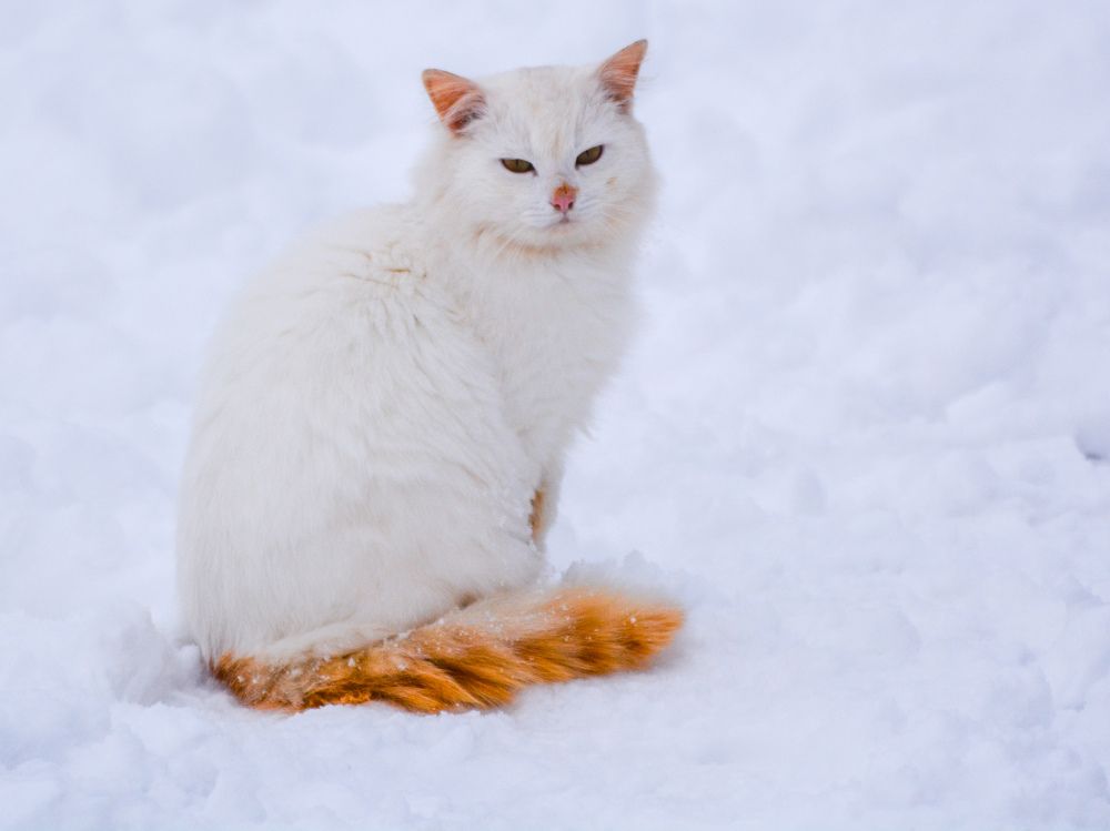 Photograph by Анастасия Гурова