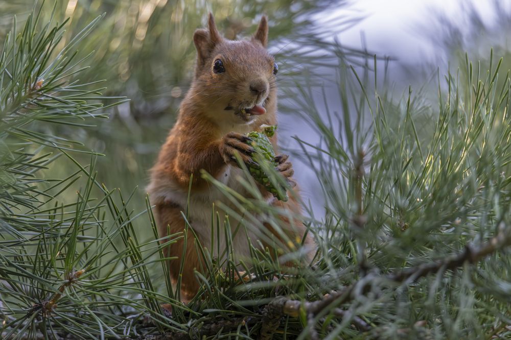 Photograph by Дмитрий Крошка