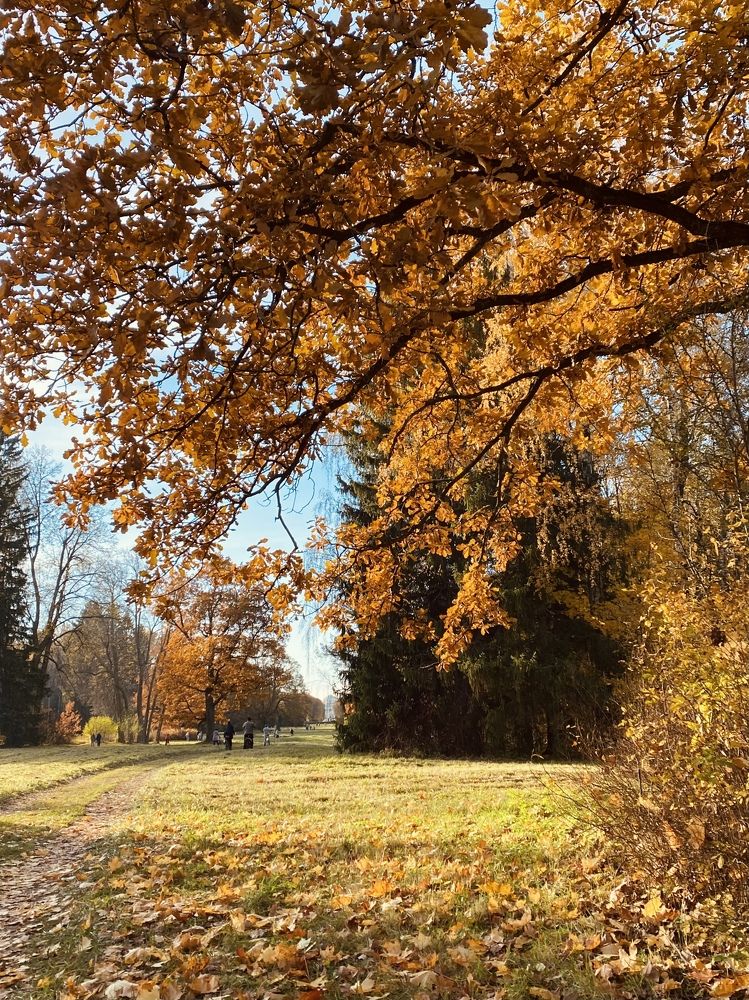 Photograph by Наталья Казачок
