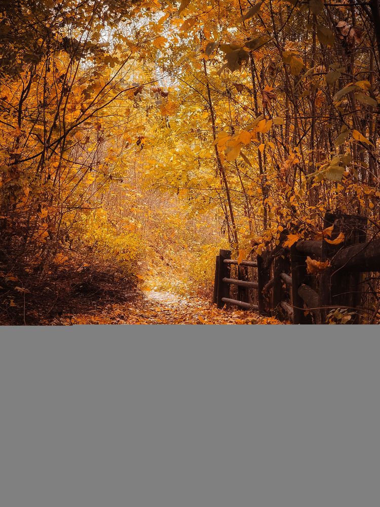 Осенний Плёс