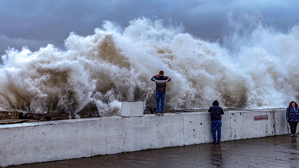 Photograph by Евгений Симион