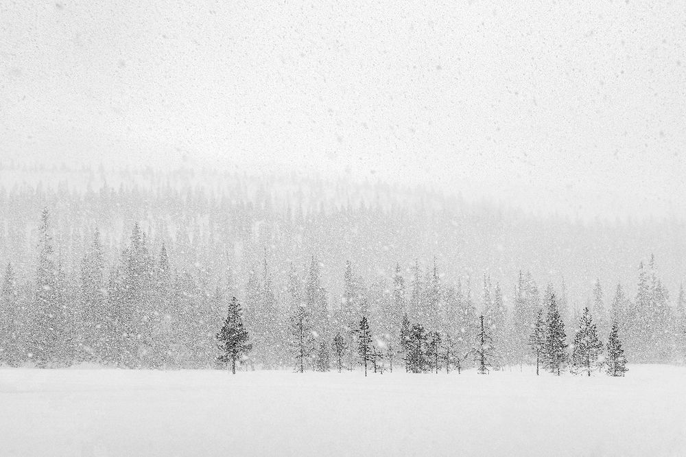 Photograph by Анжелика Титова