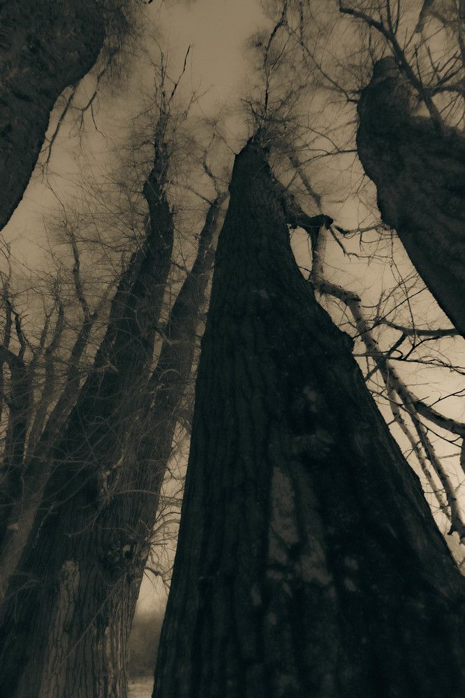 Photograph by Сергей Синягин