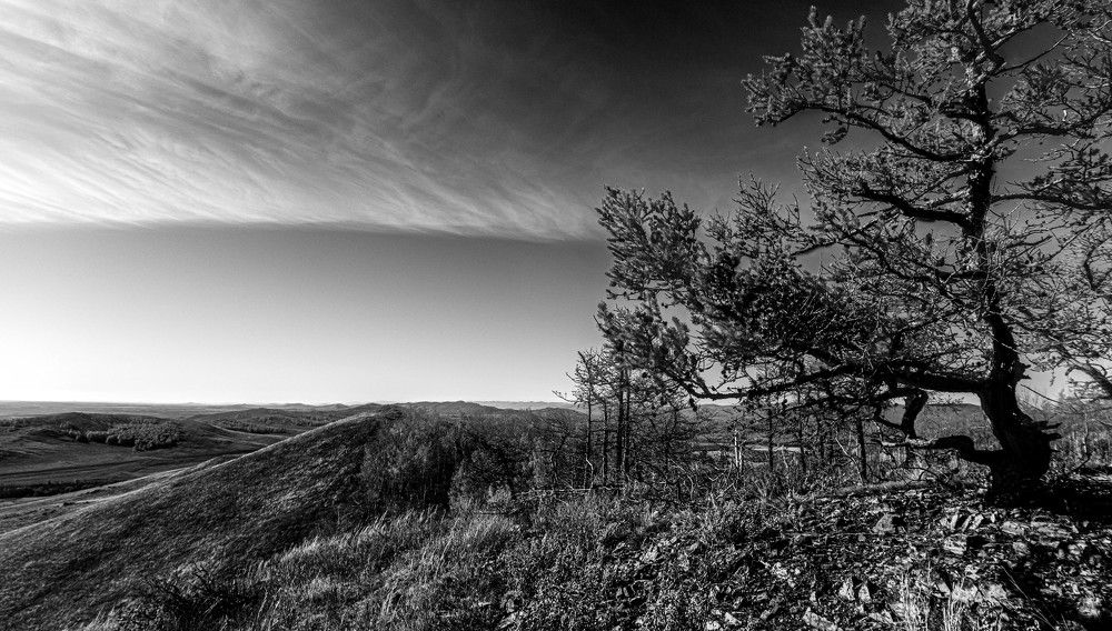 Photograph by Сергей Синягин