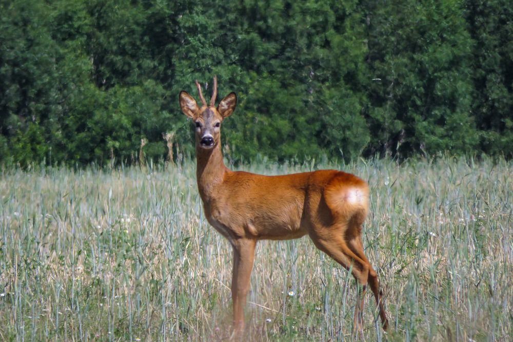 Photograph by Владимир Крылов