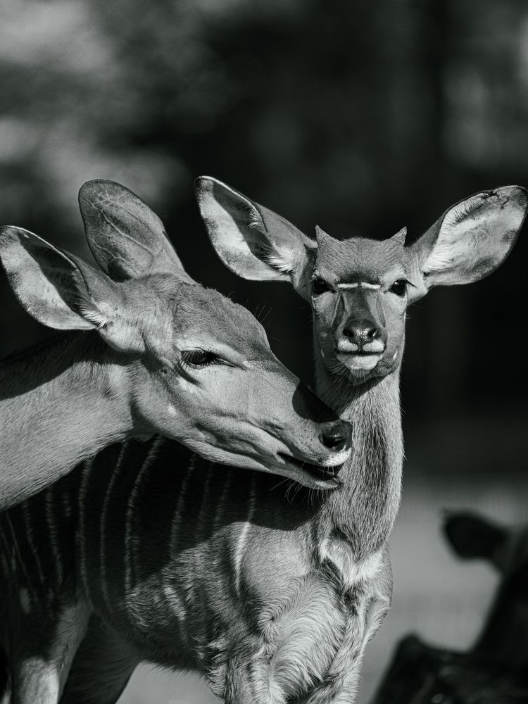 Photograph by Наталья Глинева