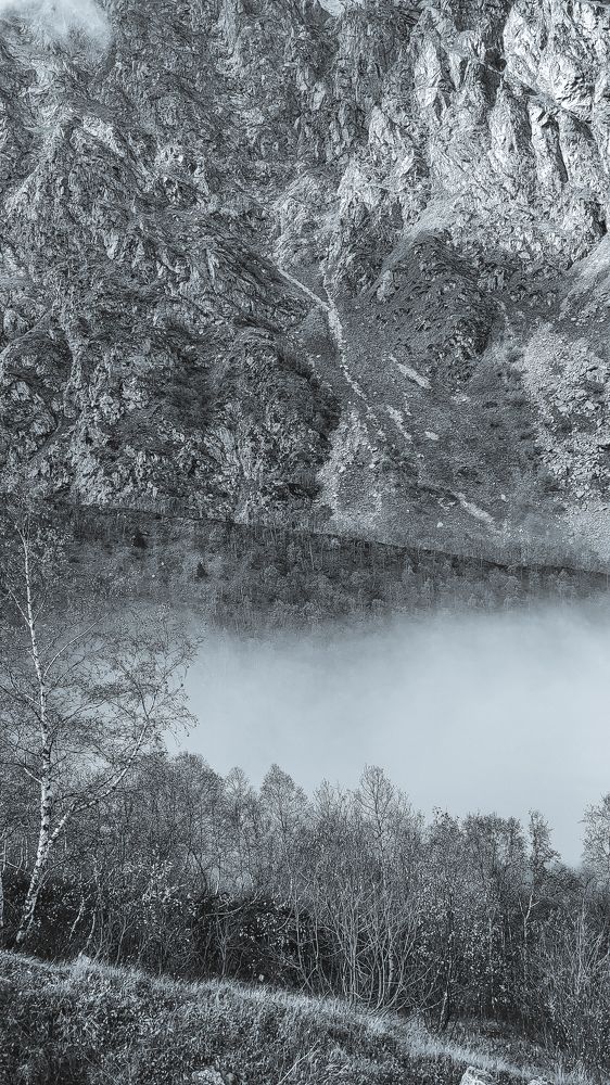 Photograph by Дарья