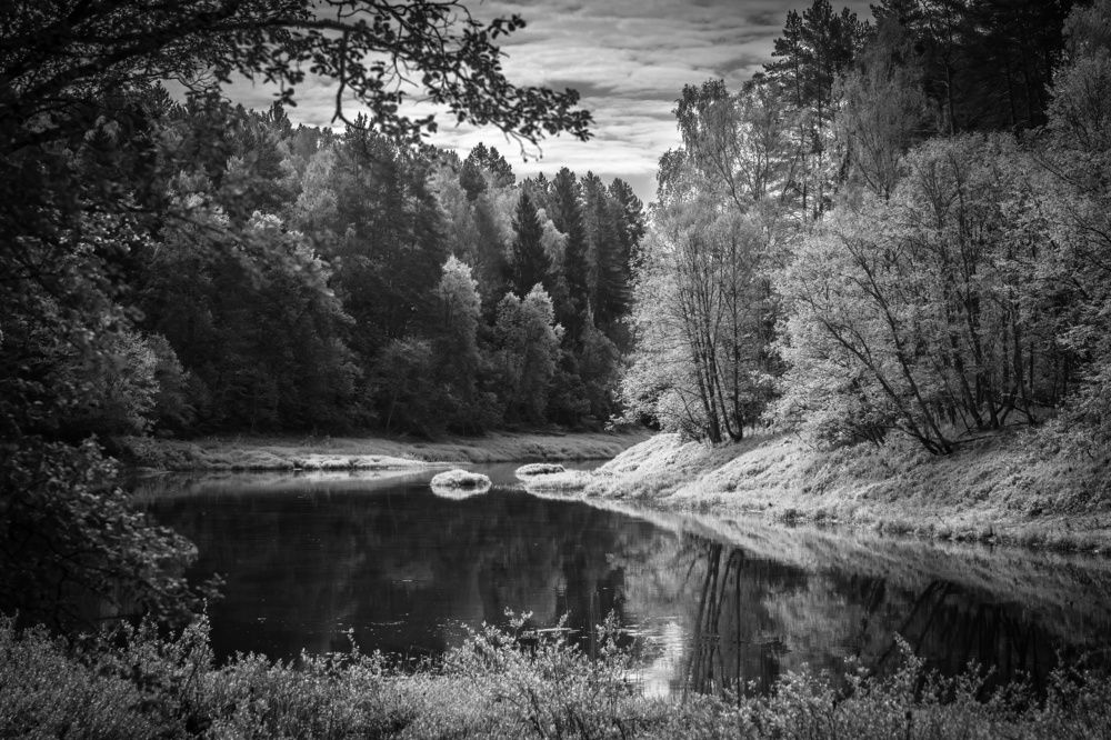 Photograph by Хабаров Сергей