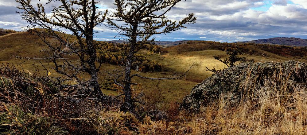 Photograph by Сергей Синягин