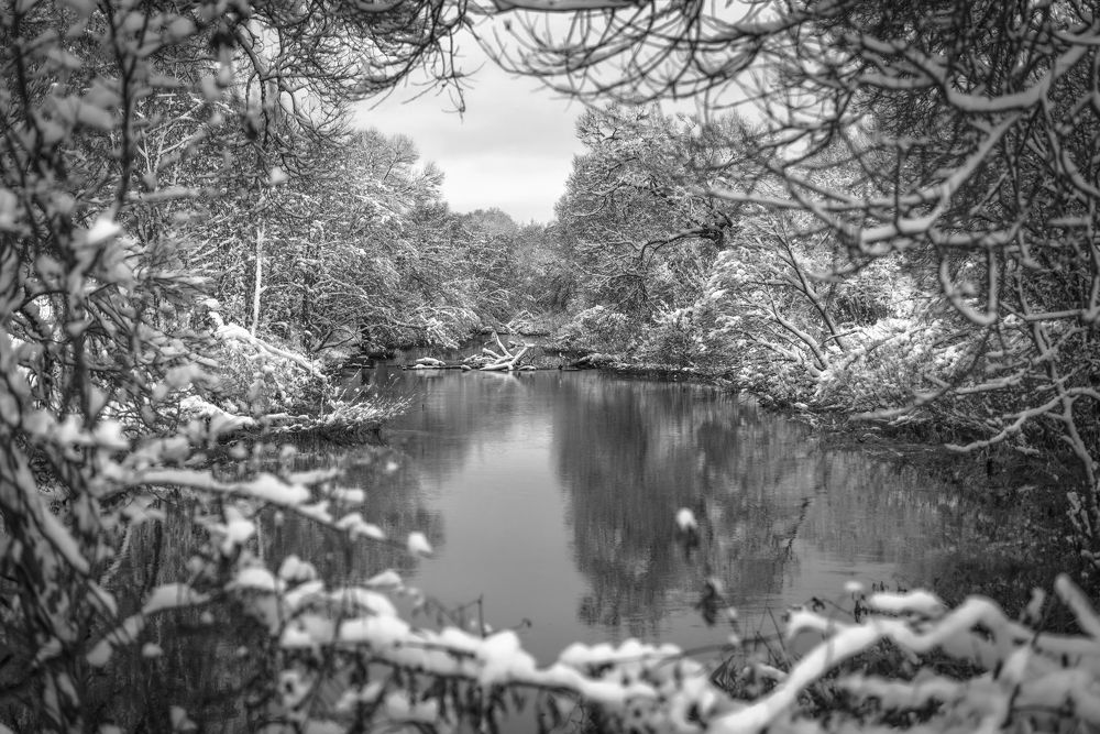 Photograph by Хабаров Сергей