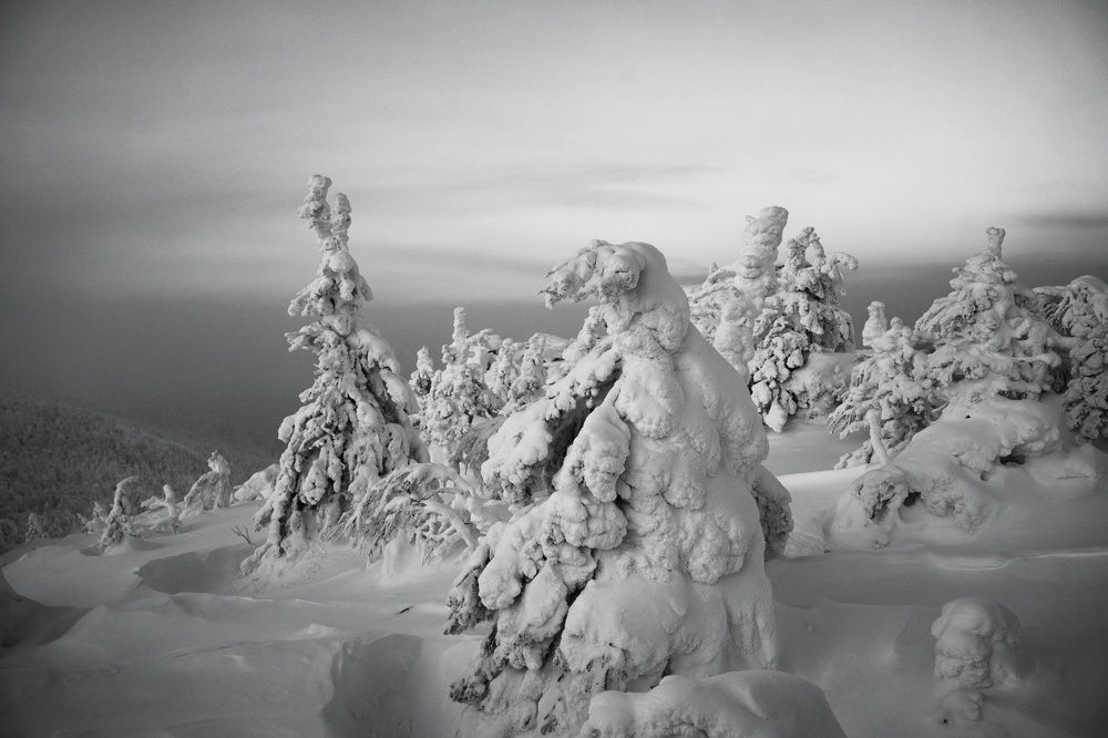 Фотография автора Светлана Зимина