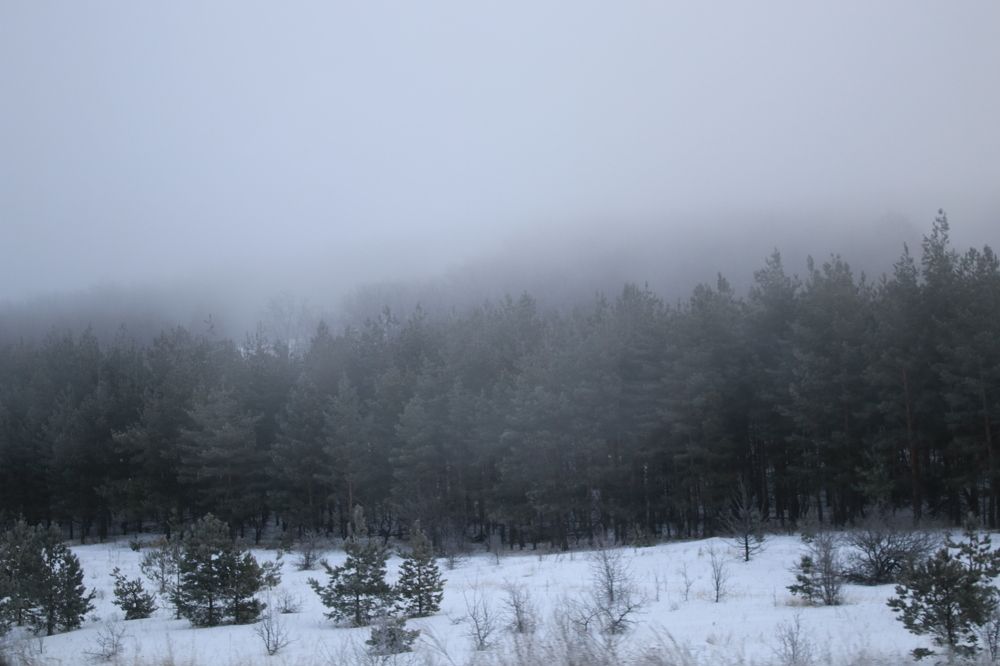 Photograph by Юлия Щетинина