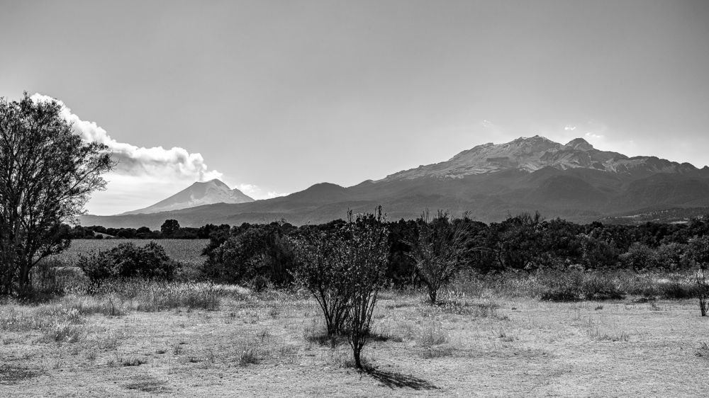 Photograph by Armando López-Guerrero