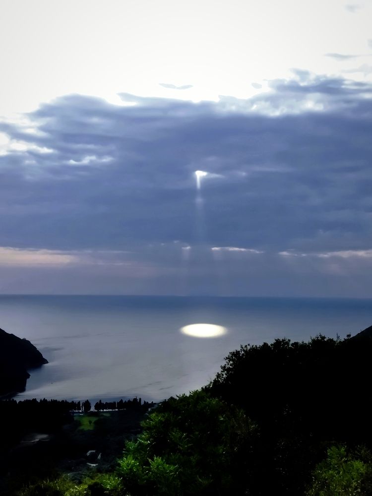 Фотография автора JELENA VASIC