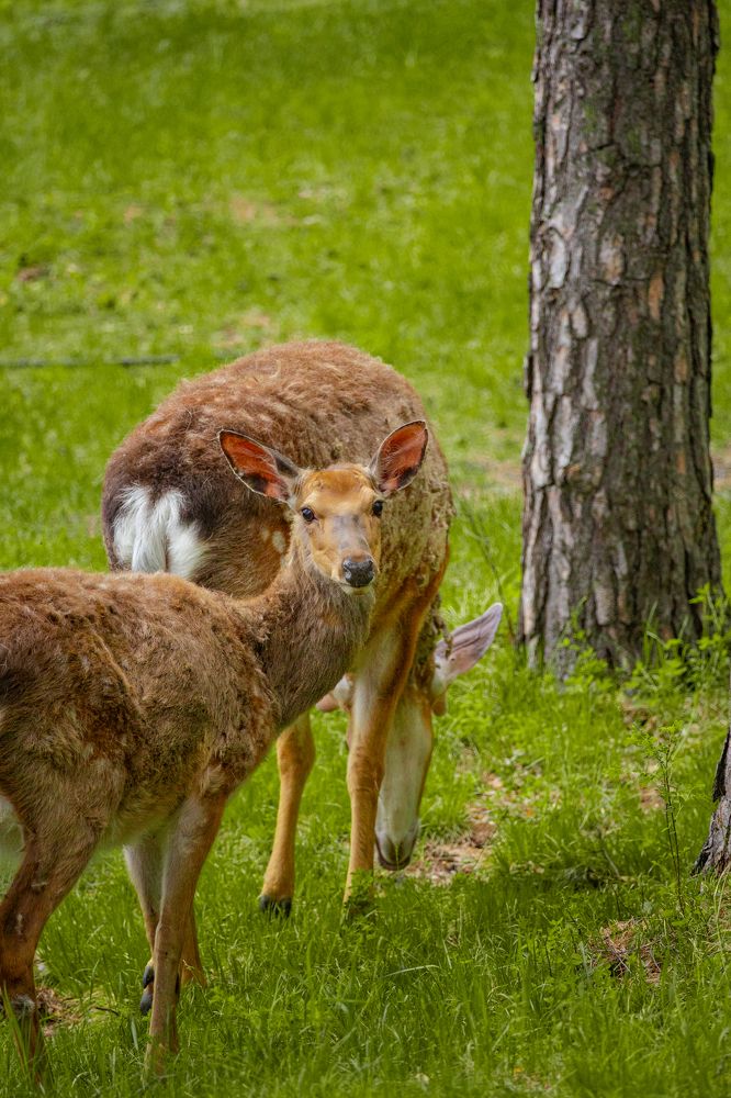 Photograph by Князев Сергей