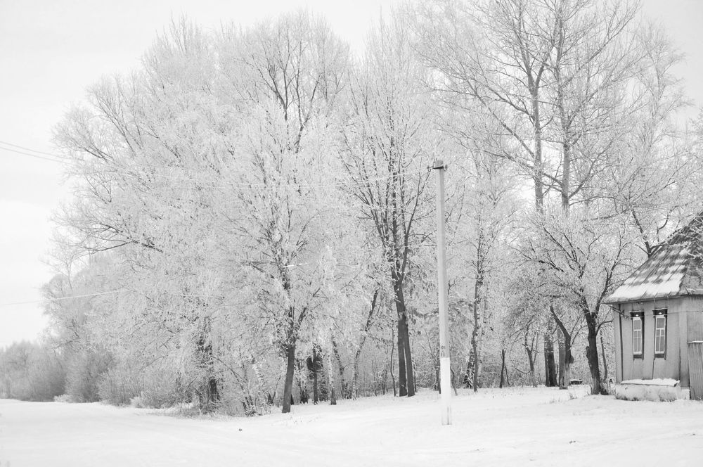 Photograph by Галина Лысых