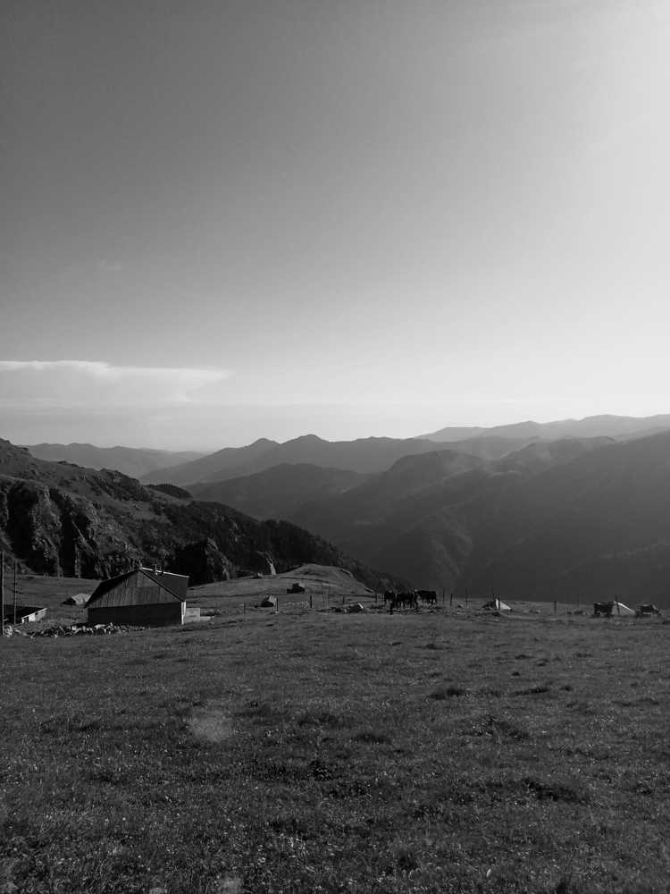 Photograph by Esranur Oğuz