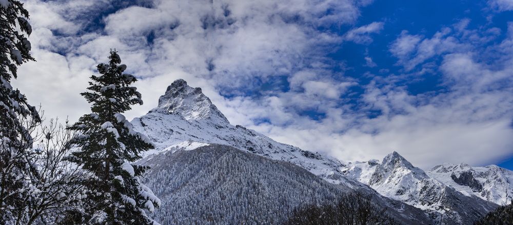 Photograph by Игорь Щербаков