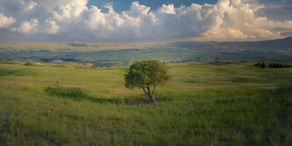 Фотография автора Jay Mason