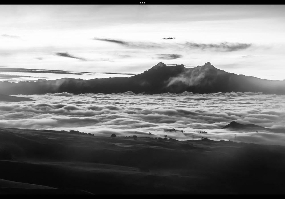 Photograph by Susie Castellano