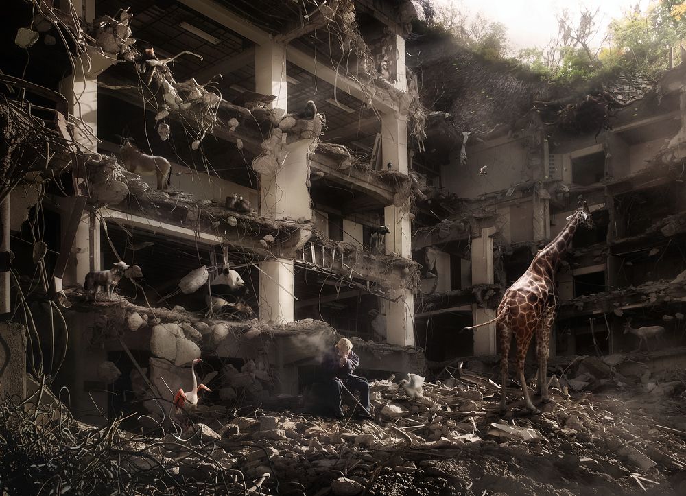 Coexistence in Ruins