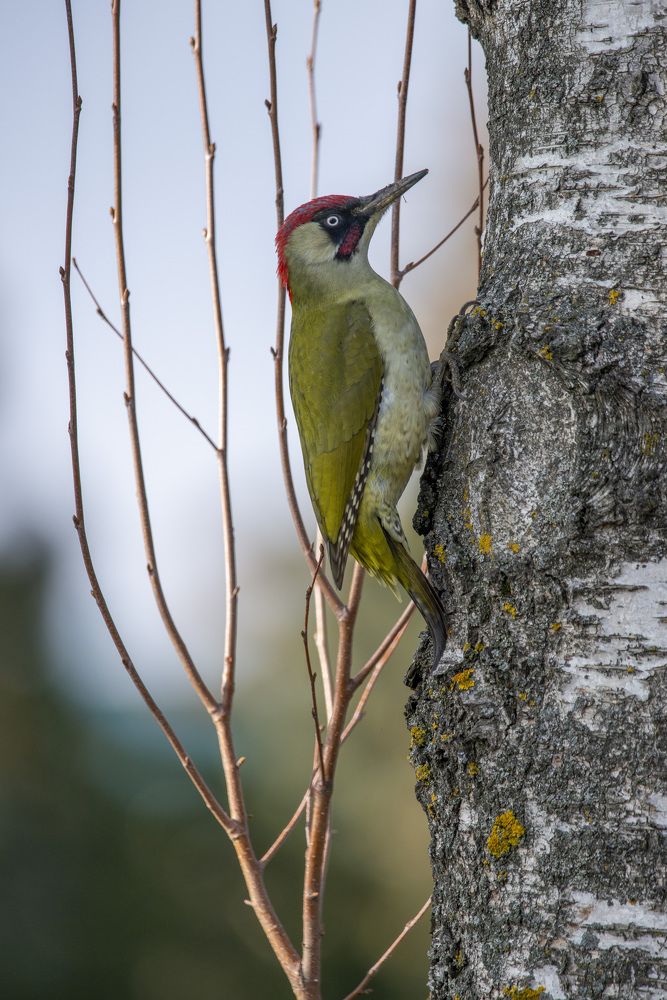 Photograph by Дмитрий Крошка