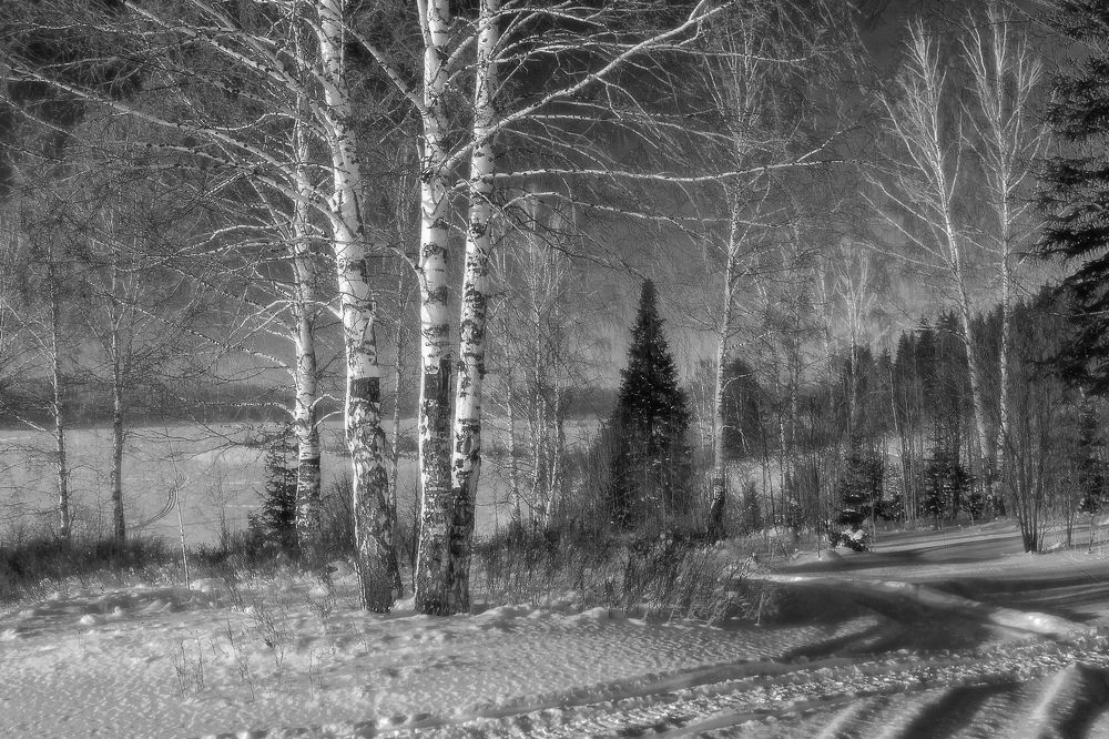 Фотография автора Марина Юдинских